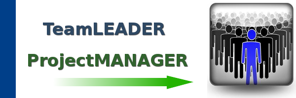 Temporary Team Leader / Project Manager