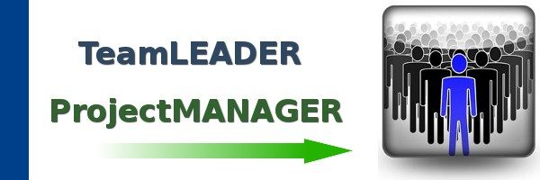 Temporary Team Leader / Project Manager