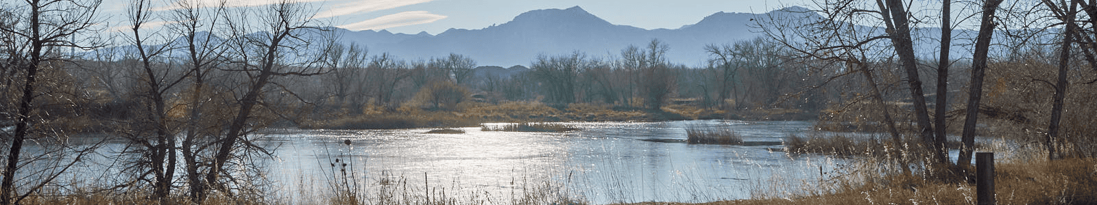 Waldon Ponds, Colorado. Mountains appear in the background of a pond surrounded by trees.